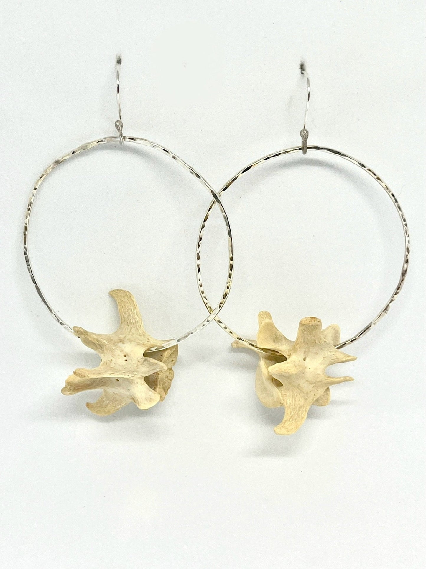 Vertebrae Hoops